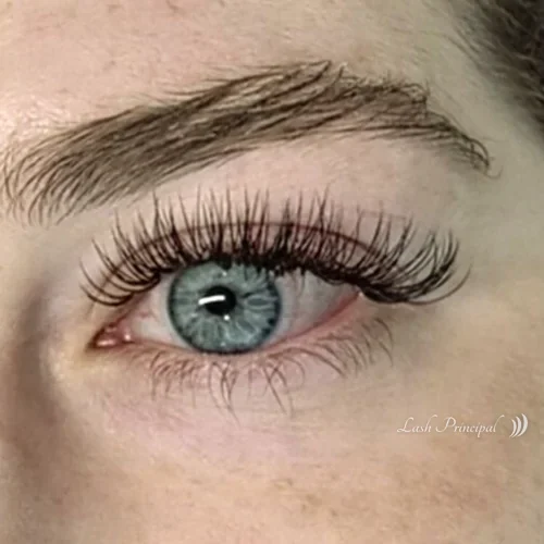 Classic lash extensions by Elena on a blue eye, Lash Principal Cary NC