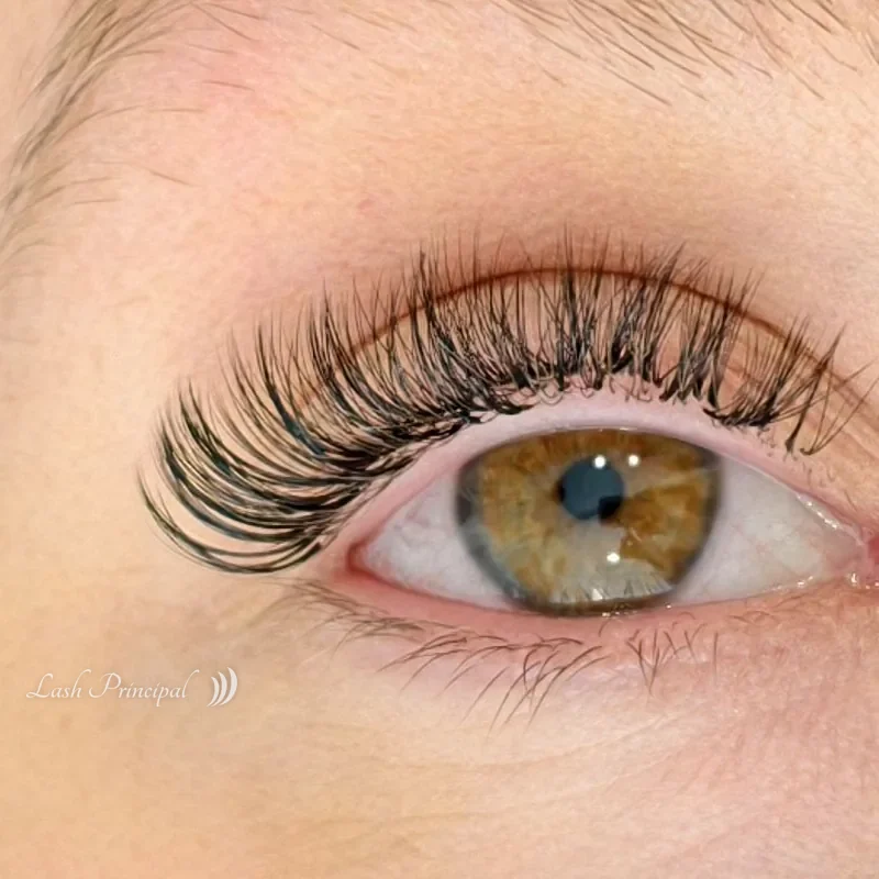 The same eye after a hybrid lash set by Elena, Lash Principal Cary NC