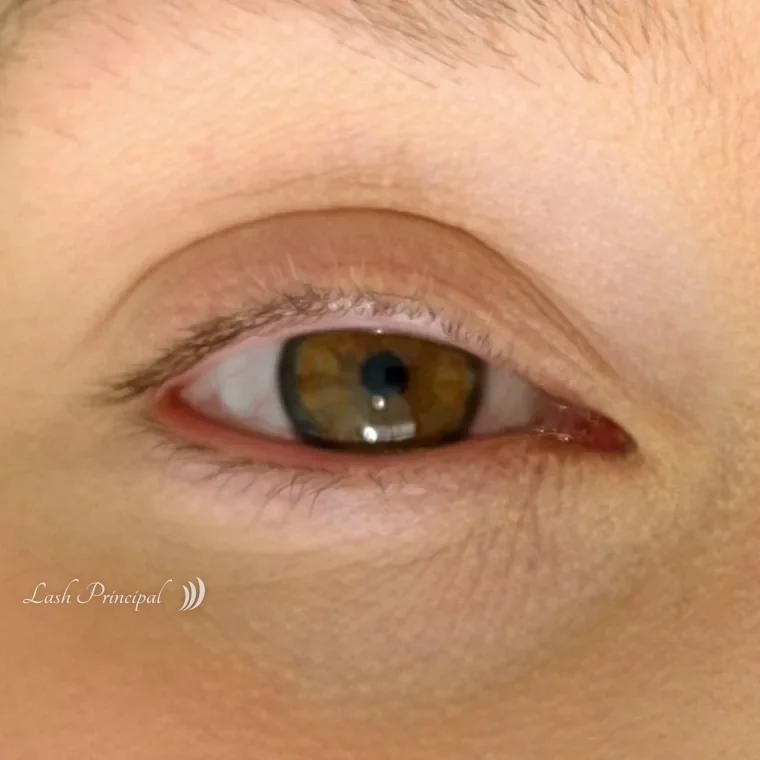 Natural lashes before a hybrid set by Elena, Lash Principal Cary NC