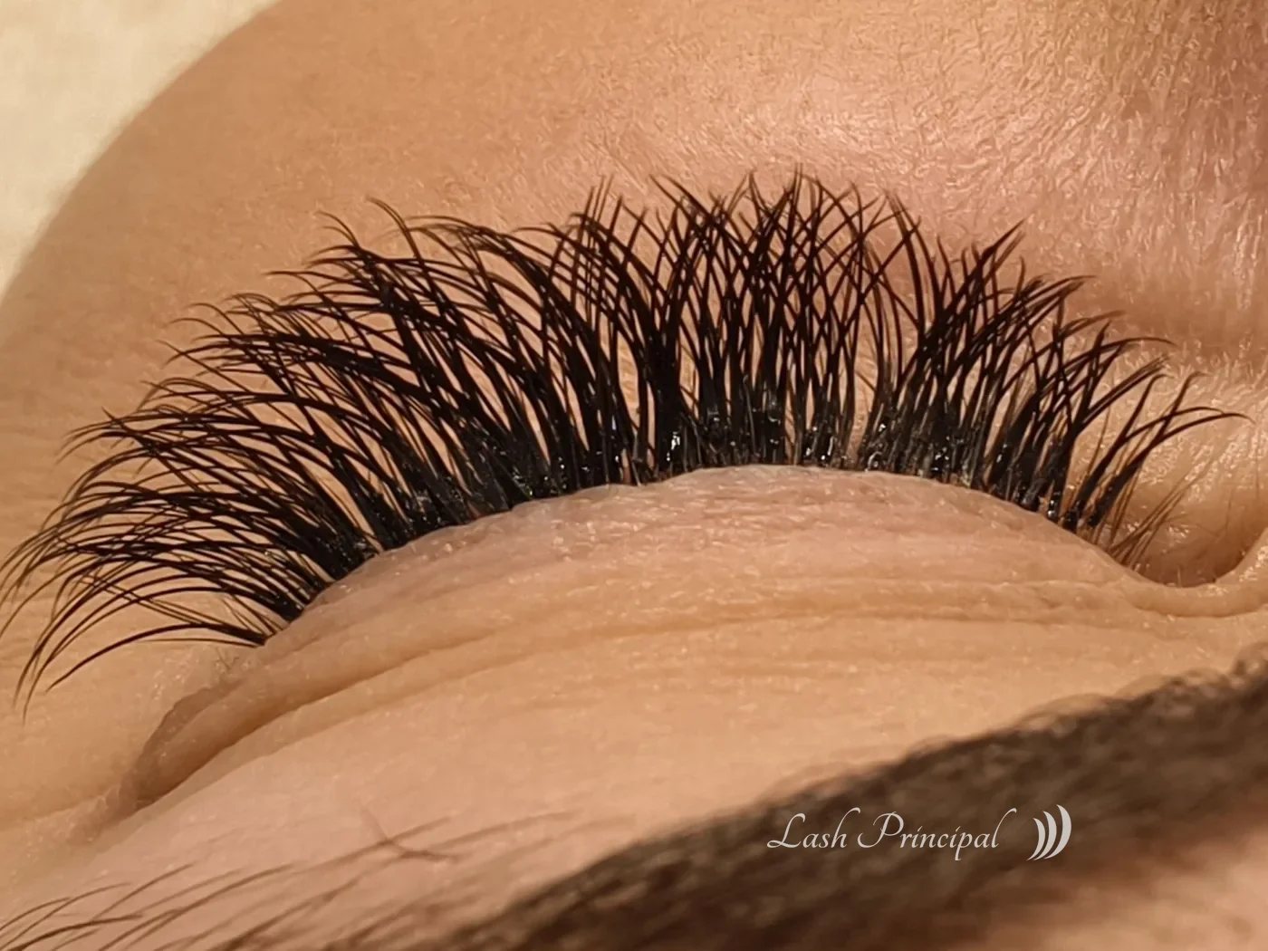 Y lash hybrid set by Elena, eye closed, Lash Principal Cary NC